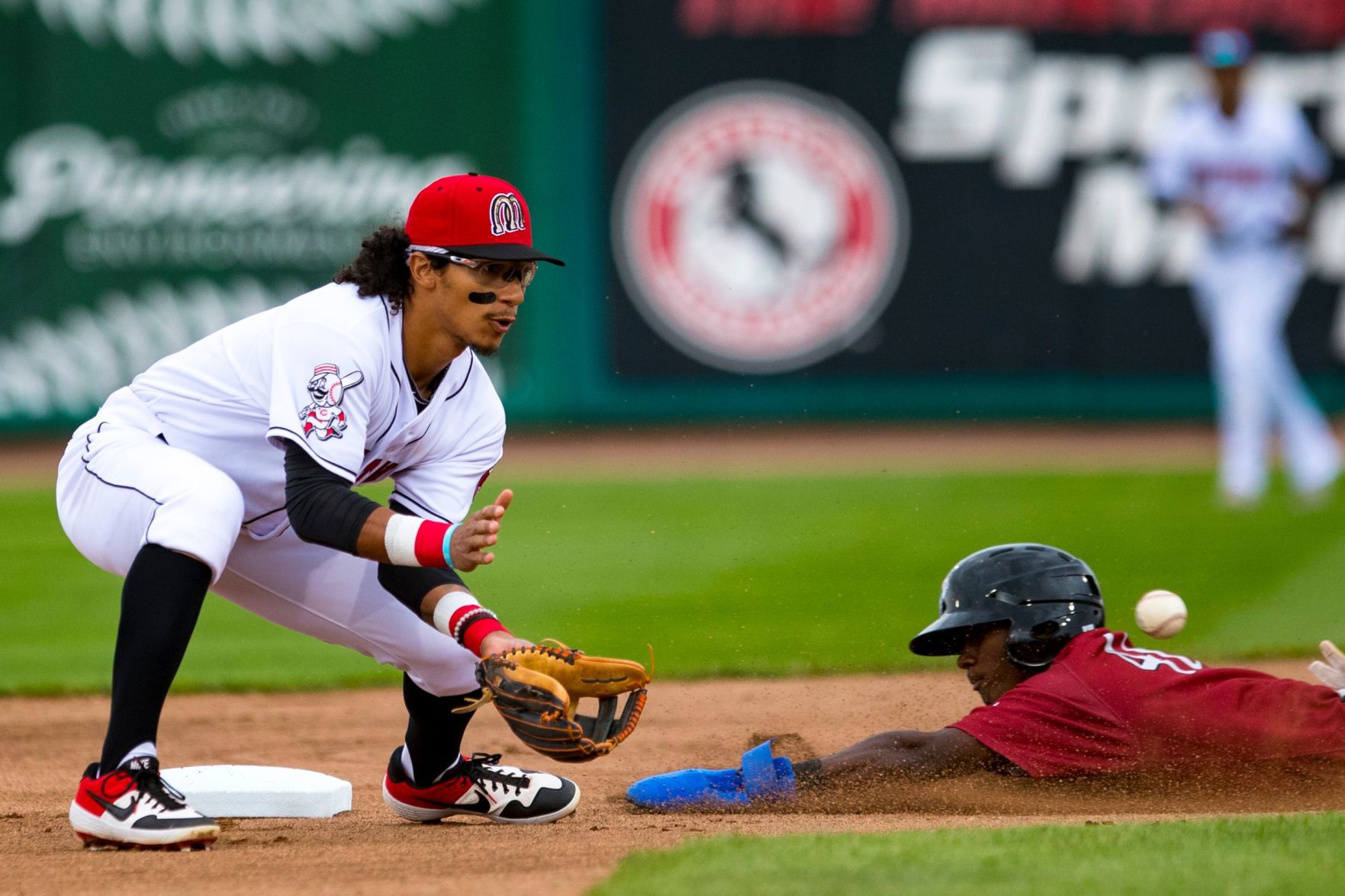 Mustangs vs. Chukars